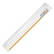 Liniaal met loep 30 cm - Glashelder