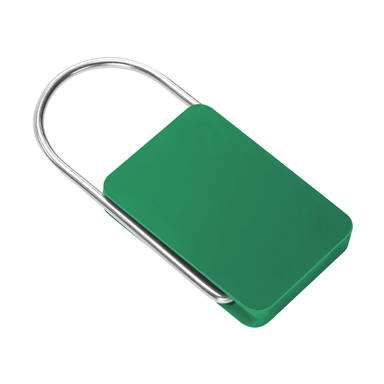 ABS keychain - Green