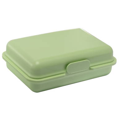 BIO lunchbox 15 x 10 x 5 cm - Lichtgroen