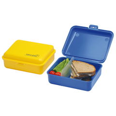 Grote kunststof lunchbox met verdeler 18 x 14 x 7 cm