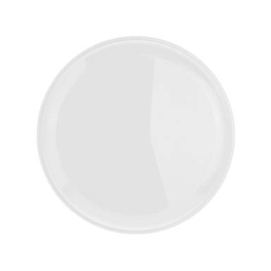 PP frisbee 22 cm express levering - Wit