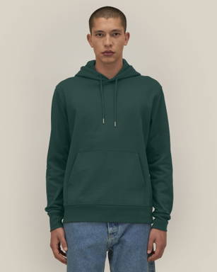 Stanley/Stella Gamechanger hoodie - Glazed green