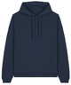 French navy