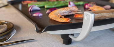 BOSKA Electric Grillplaat Pro (EU Type F)