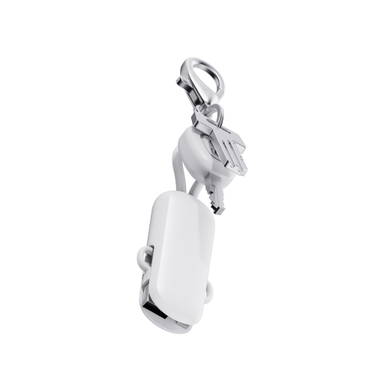 Urban Vitamin Dublin 100W 4 -in-1 keychain cable