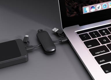 Urban Vitamin Dublin 100W 4 -in-1 keychain cable
