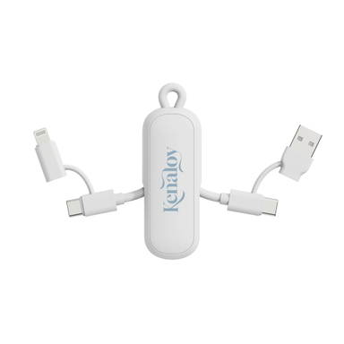 Urban Vitamin Dublin 100W 4 -in-1 keychain cable