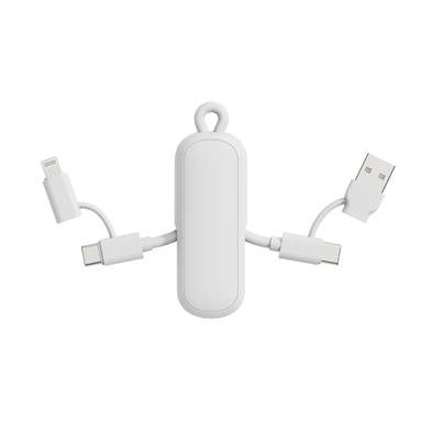 Urban Vitamin Dublin 100W 4 -in-1 keychain cable