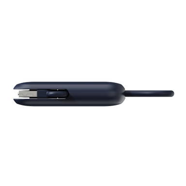 Urban Vitamin Dublin 100W 4 -in-1 keychain cable