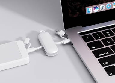 Urban Vitamin Dublin 100W 4 -in-1 keychain cable