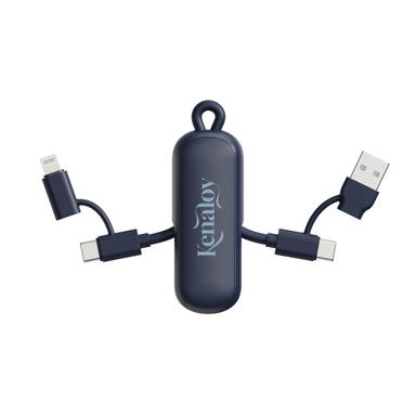 Urban Vitamin Dublin 100W 4 -in-1 keychain cable