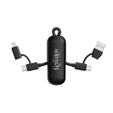 Urban Vitamin Dublin 100W 4 -in-1 keychain cable