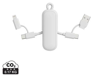 Urban Vitamin Dublin 100W 4 -in-1 keychain cable