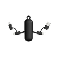 Urban Vitamin Dublin 100W 4 -in-1 keychain cable