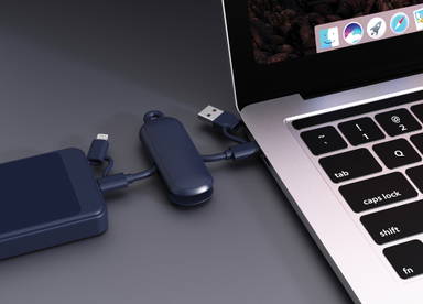Urban Vitamin Dublin 100W 4 -in-1 keychain cable