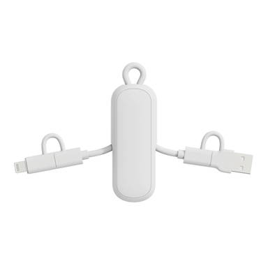 Urban Vitamin Dublin 100W 4 -in-1 keychain cable