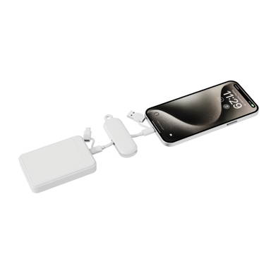 Urban Vitamin Dublin 100W 4 -in-1 keychain cable