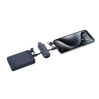 Urban Vitamin Dublin 100W 4 -in-1 keychain cable