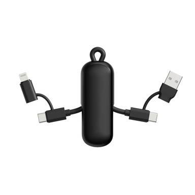 Urban Vitamin Dublin 100W 4 -in-1 keychain cable