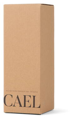 VINGA Cael RCS SS drinkfles 600ML