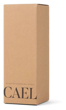 VINGA Cael RCS SS drinkfles 600ML