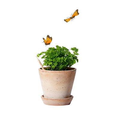 Sproutworld geslepen potlood met zaadjes en headercard - Houtbruin