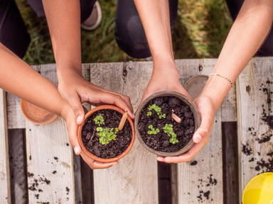 Sproutworld geslepen potlood met zaadjes en headercard - Houtbruin
