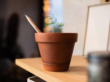 Sproutworld ongeslepen potlood met zaadjes en headercard - Houtbruin
