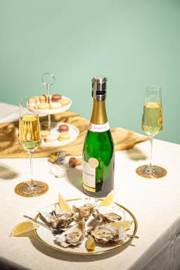 Vacu Vin Champagne Stopper Stainless Steel afsluitdop