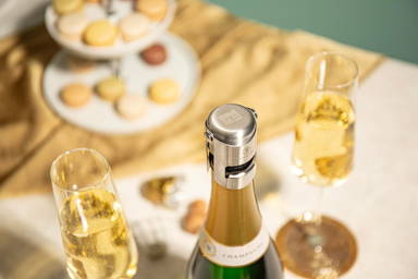 Vacu Vin Champagne Stopper Stainless Steel afsluitdop