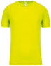 Fluorescent yellow