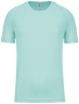 Ice mint
