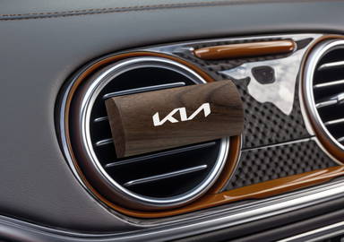 Profumo per auto ovale Woodstyle - Legno marrone