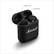 Marshall Minor IV 30H+ TWS Oordoppen