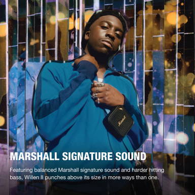 Marshall Willen II 17H+ Speaker