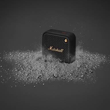 Marshall Willen II 17H+ Speaker