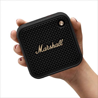 Marshall Willen II 17H+ Speaker