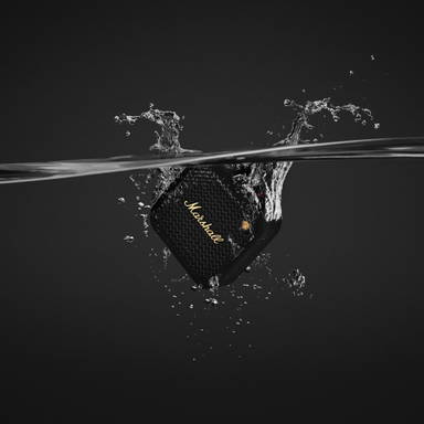 Marshall Willen II 17H+ Speaker