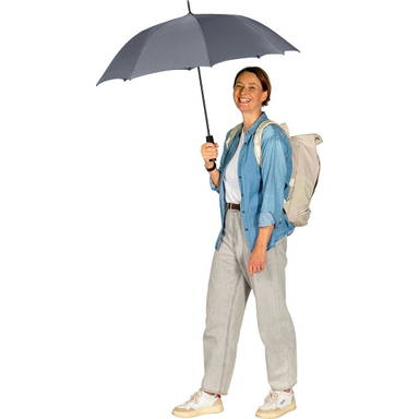 Fare AC regular paraplu 1145 - Grey
